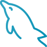 MySQL Icon